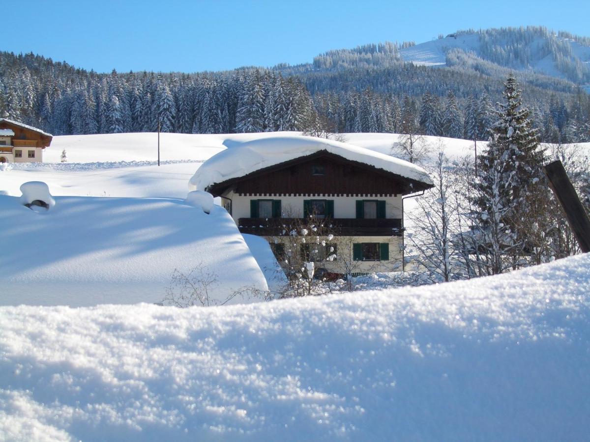 Haus Ortner Apartamento Russbach am Pass Gschütt Exterior foto